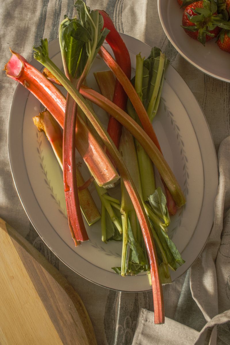Rhubarb